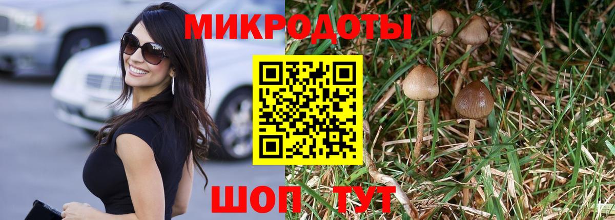 Галлюциногенные грибы мицелий Медногорск