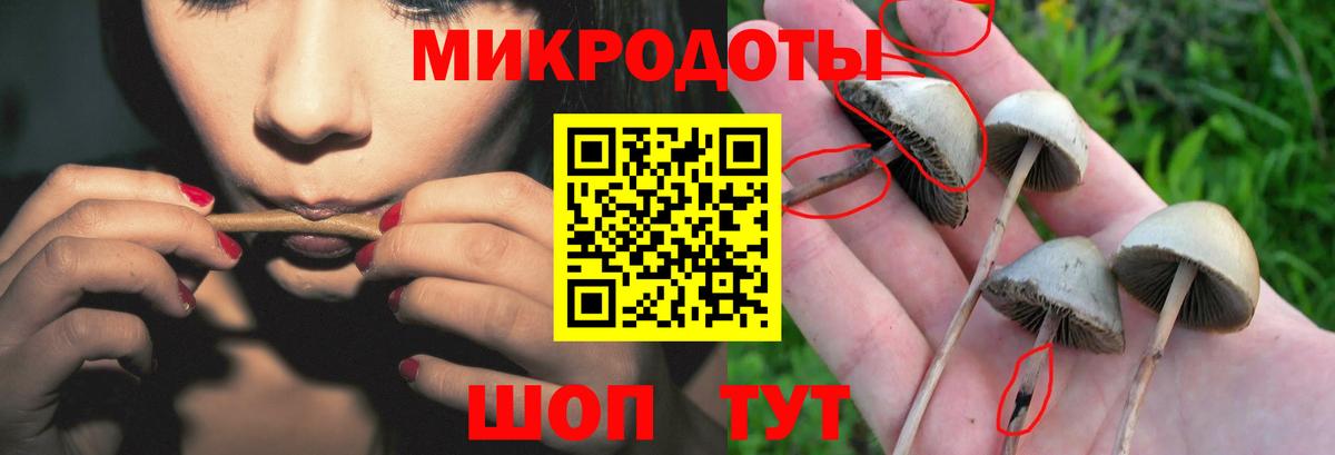 Медногорск  Псилоцибиновые грибы Magic Shrooms  Вход с VPN  Псилоцибиновые грибы мицелий 